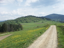 Droga do Żabnicy. Okolice Kubniowego Lasku_1